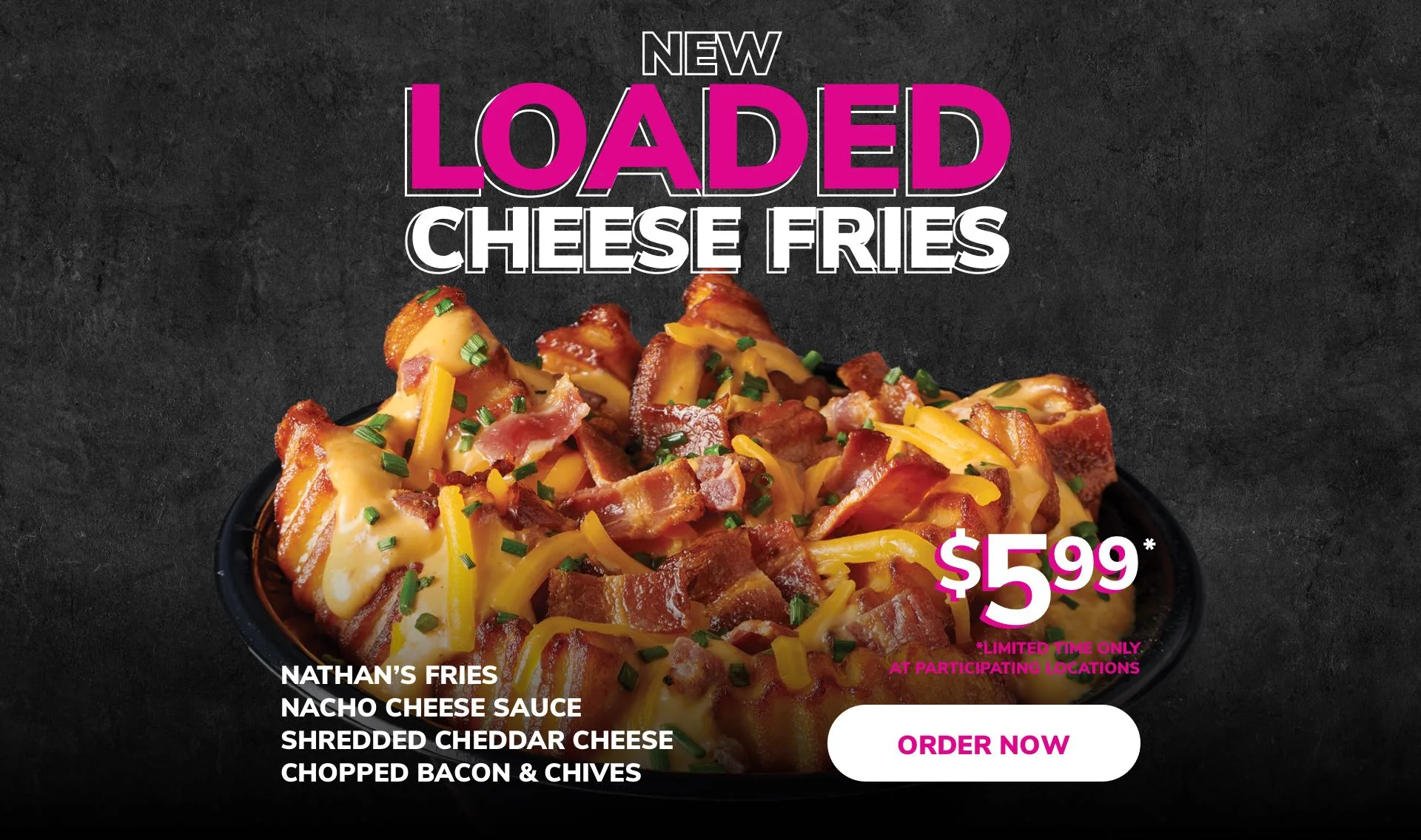 Miami Grill 2023 Loaded Cheese Fries Homepage Promo