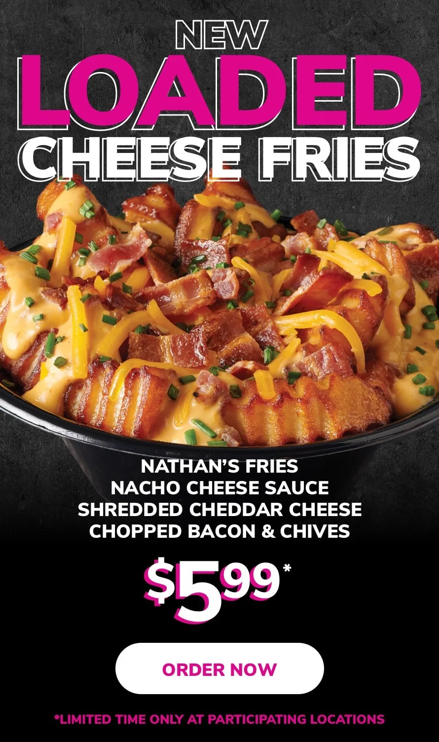 Miami Grill 2023 Loaded Cheese Fries Homepage Promo Mobile