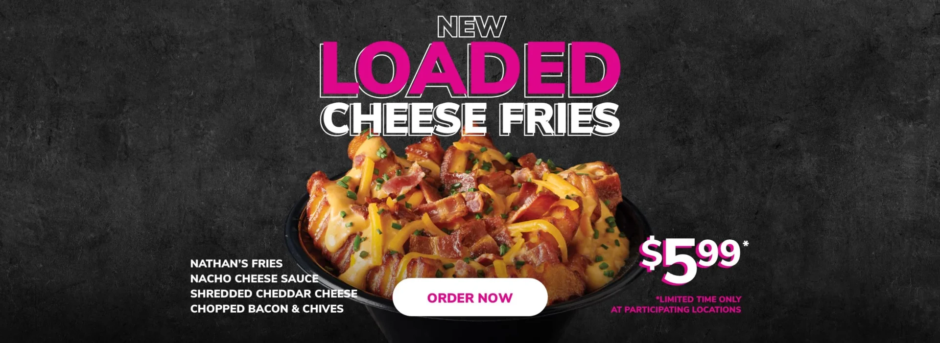 Miami Grill 2023 Loaded Cheese Fries Homepage Promo XL