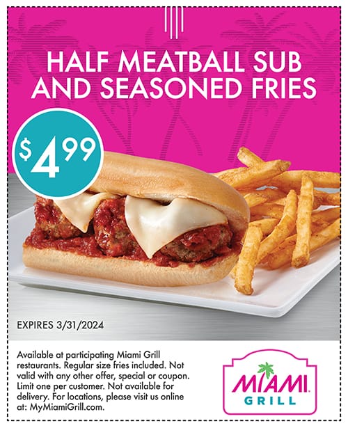 WebCoupons_rev12_23_Meatball_500x615px