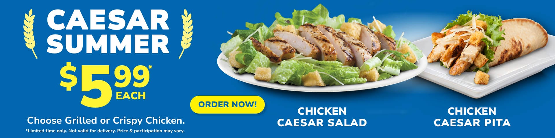 Caesar Webbanner